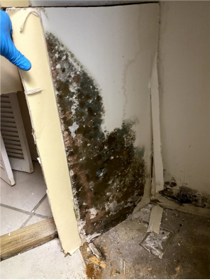 Best Ways to React to Water Damage Repairs in Orlando