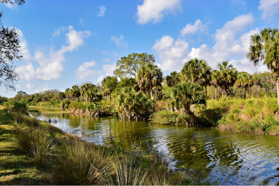 Exploring Sarasota's Hidden Green Gems: Nature Trails and Parks