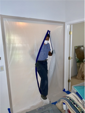 Effective Safety Strategies for Mold Removal in Orlando