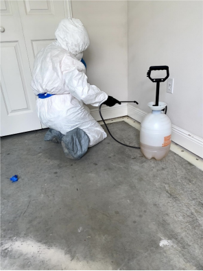 Prioritizing Safety in Mold Cleanup: A Guide for Orlando Residents