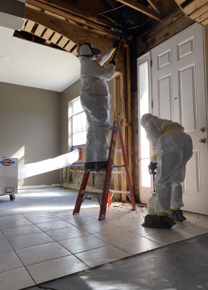 Mold Prevention in Bradenton: Best Practices for Homeowners