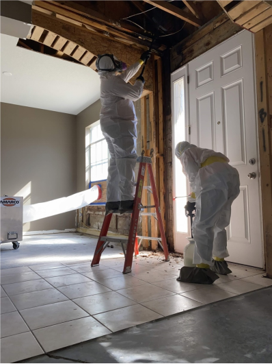 15 Tips for Keeping Your Home in Clearwater Mold-Free