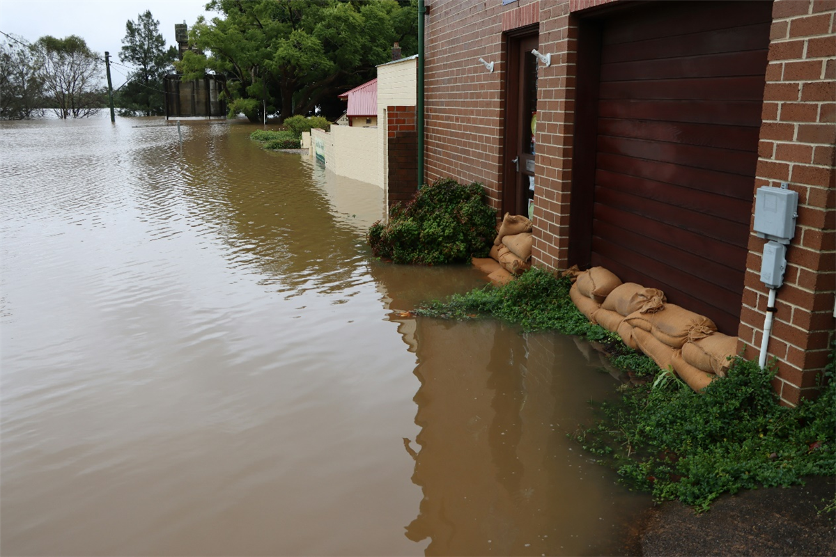 standing water on a street