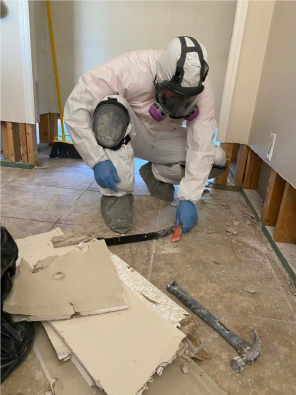 Mold Mayhem in St. Pete? Don't Panic! Here's How to Restore Your Home