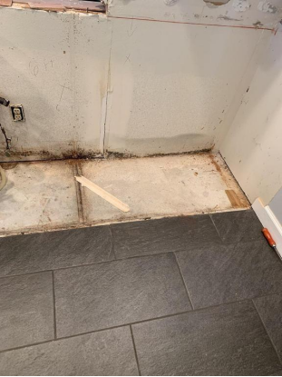 Mold Madness: Identifying and Preventing Mold Growth in Your Bradenton Home