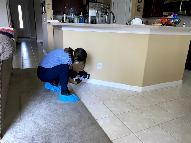 Actionable Solutions for Water Damage Removal in Orlando 