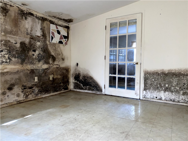 Top Actionable Solutions for Water Damage Restoration Services in Orlando