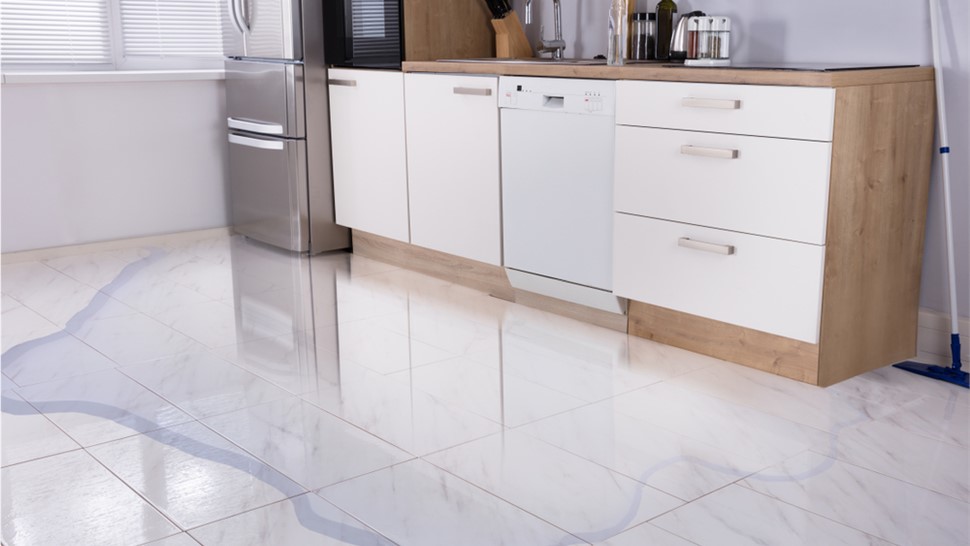 Appliance Leaks Photo 1