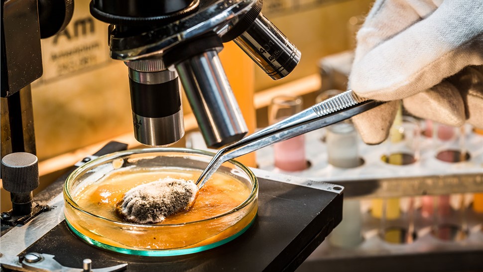 Mold Testing Photo 1