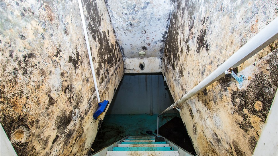 Water Damage Remediation Photo 1