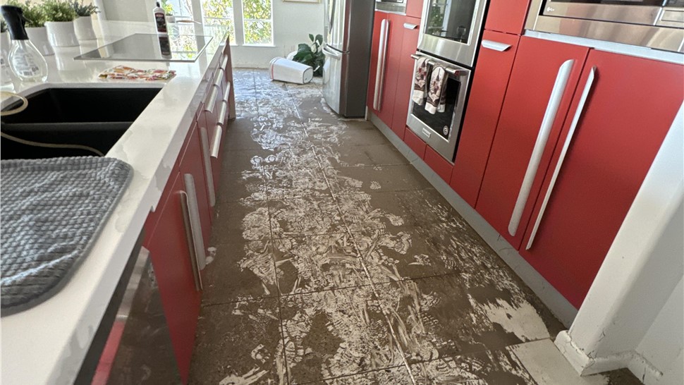 Case Study 7 Photo 24