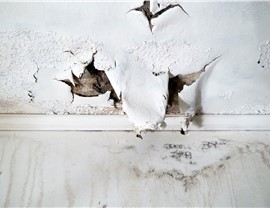 Water Damage Photo 3