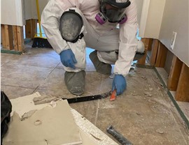 Mold - Geo Photo 2