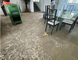 Case Study 7 Photo 72