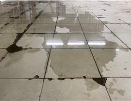 Flooded Bathroom Photo 4