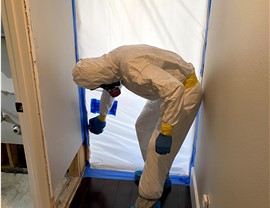 Mold - Geo Photo 4