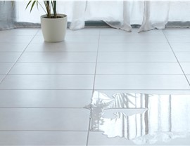 Appliance Leaks Photo 3