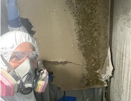 Restoration Services - Geo Photo 2