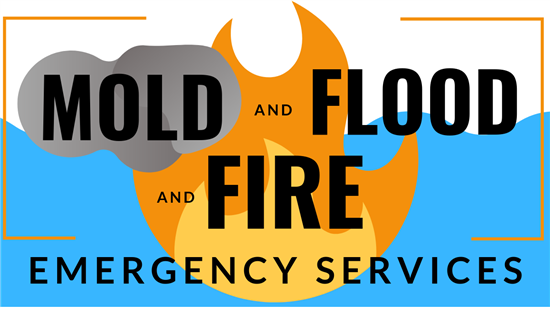 emergency-services