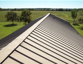 Metal Roofing Photo 2