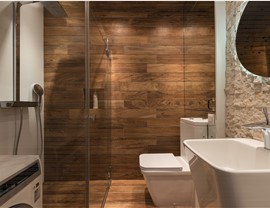 Bathroom Remodeling - New Showers Photo 2