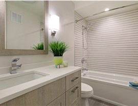 Tub to Shower Conversions Photo 3