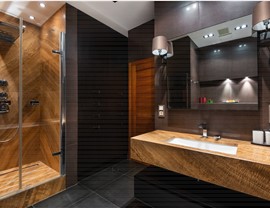 Bathroom Remodeling - Roll-In Showers Photo 3