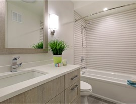 Bathroom Remodeling - Shower to Tub Conversions Photo 1