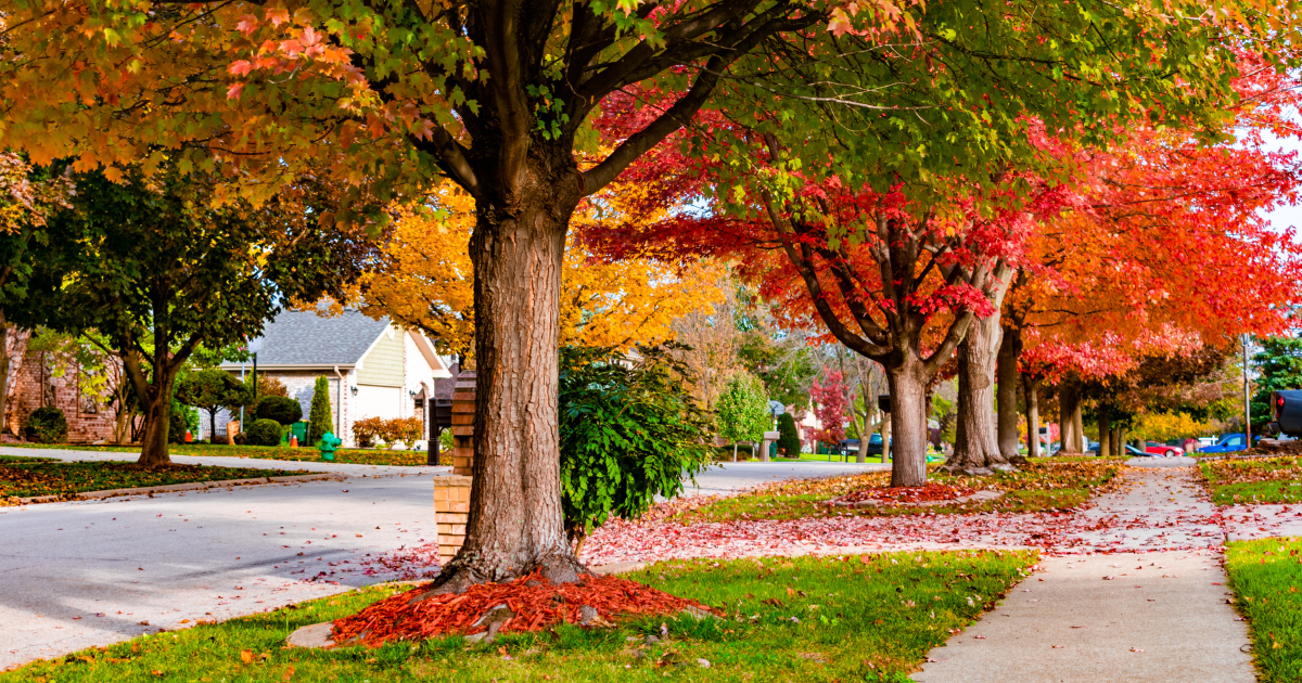 Sidewalk in suburban neighborhood with trees changing colors for fall