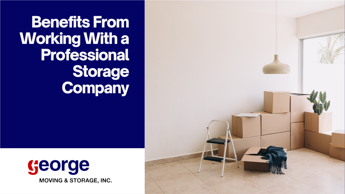 Benefits From Working With a Professional Storage Company