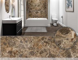 Bath and Shower Wall Colors Photo 70