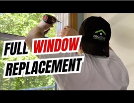 Replacement Windows Video 66