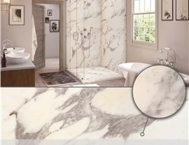 Bath and Shower Wall Colors Photo 84