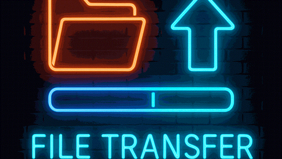 File Transfer Photo 48