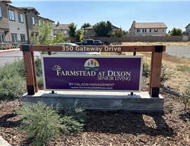 NU Alum Signs Photo 48