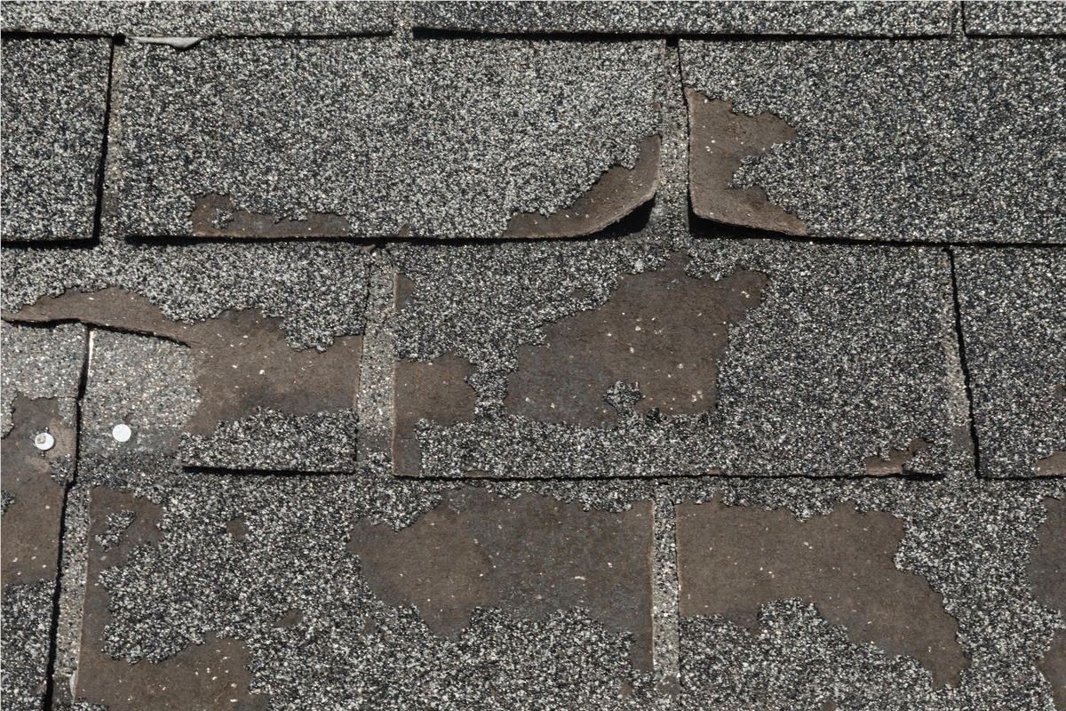 A roof with missing shingles granules and curled edges.