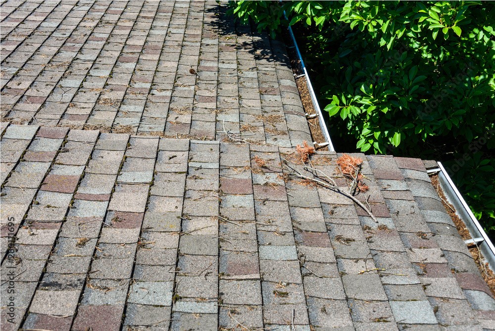 Removing debris from your roof is critical for optimum roof health. 