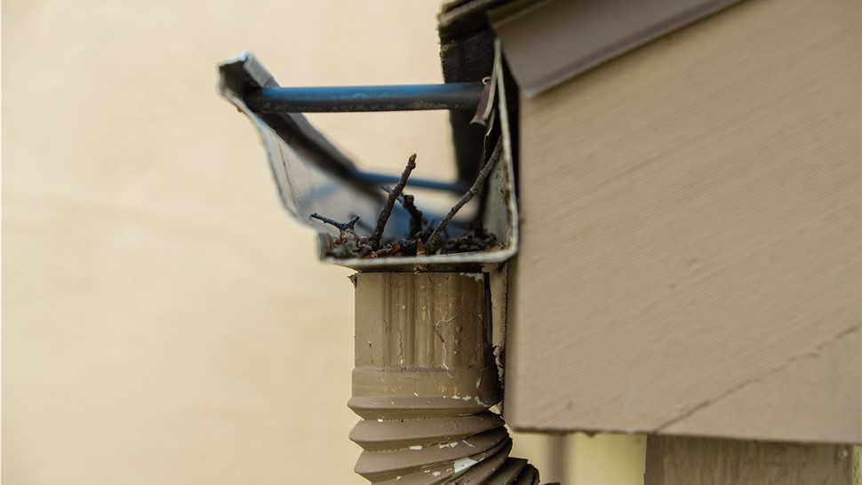 Replacement Gutters 1