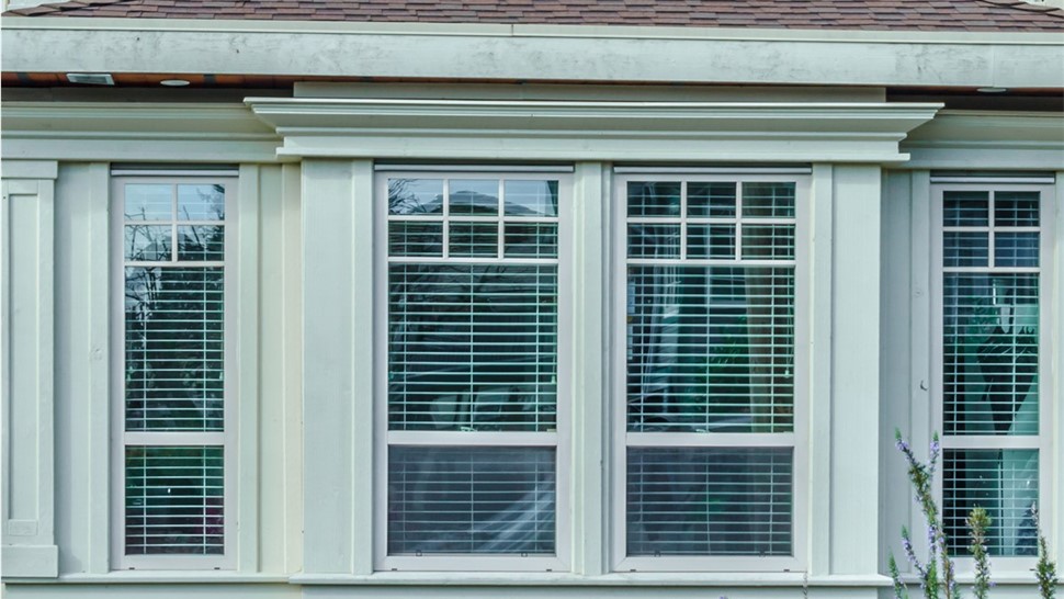 Replacement Windows 1