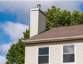 Chimney Protection & Repair Photo 4