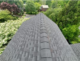 Top-down view of a new charcoal-colored Timberline HDZ shingle roof in Bethesda, MD, surrounded by trees and greenery.
