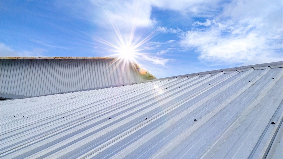 Commercial Roof Repair Photo 23