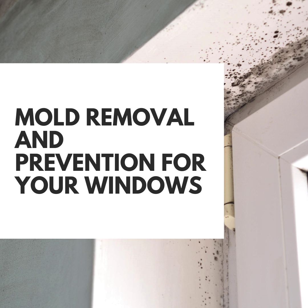 Mold Removal and Prevention for Your Windows 