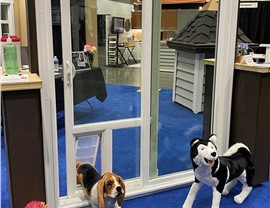 Dog Door Installation Photo 12