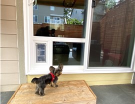 Patio Doors Photo 48