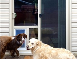 Happy dogs in front of a Harley Exteriors dog door that is built-in to a patio slider on the back porch.