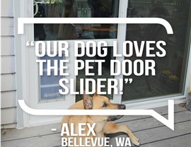 Testimonial Quotes Photo 2