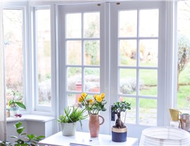 French Doors Photo 3