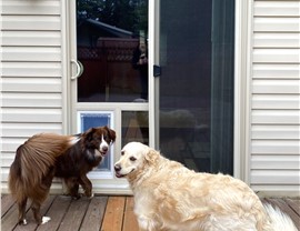 Patio Doors Photo 73