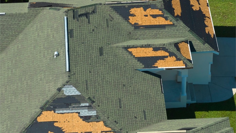 Storm Damage - Wind Damage Photo 35